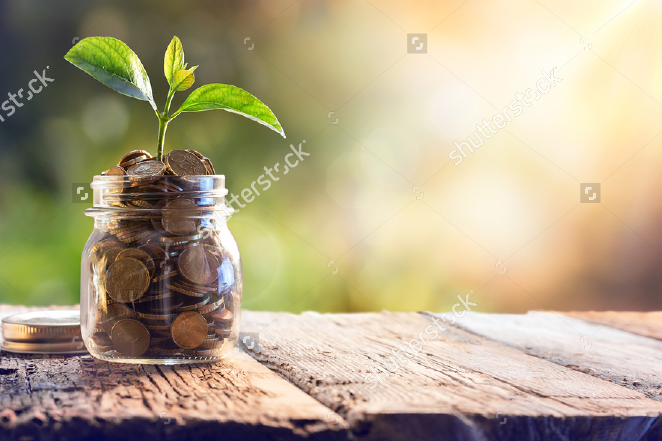 stock-photo-plant-growing-in-savings-coins-investment-and-interest ...